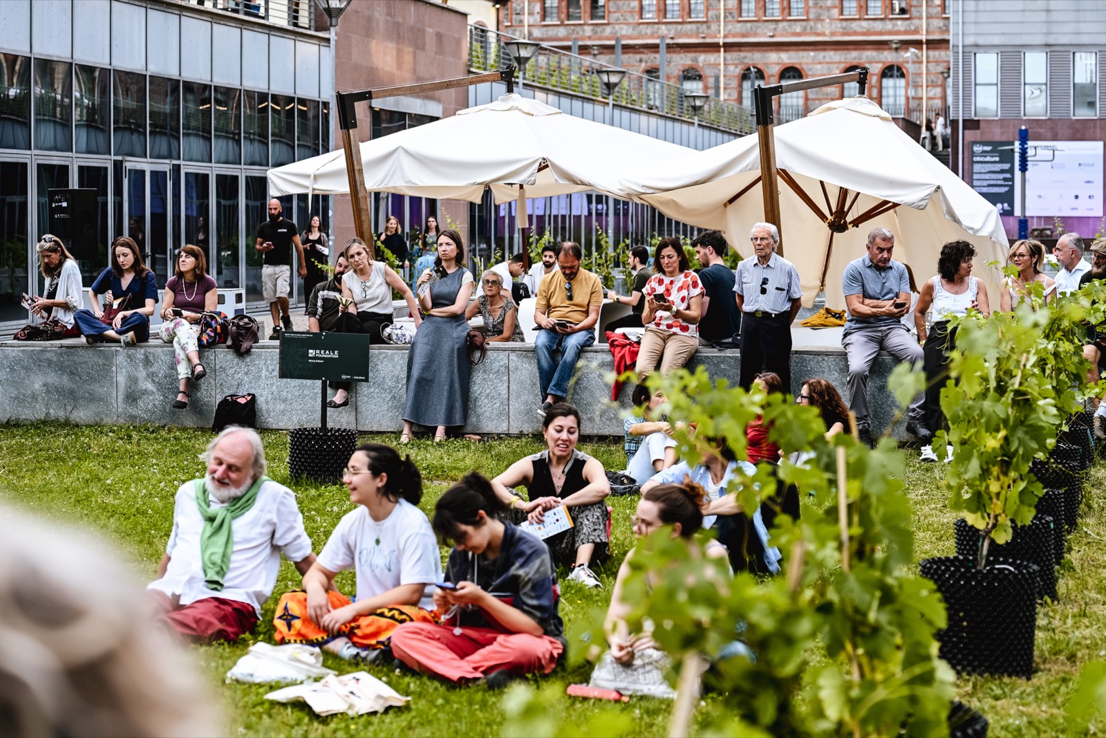 La vigna Campus Grapes nel campus del Politecnico di Torino
