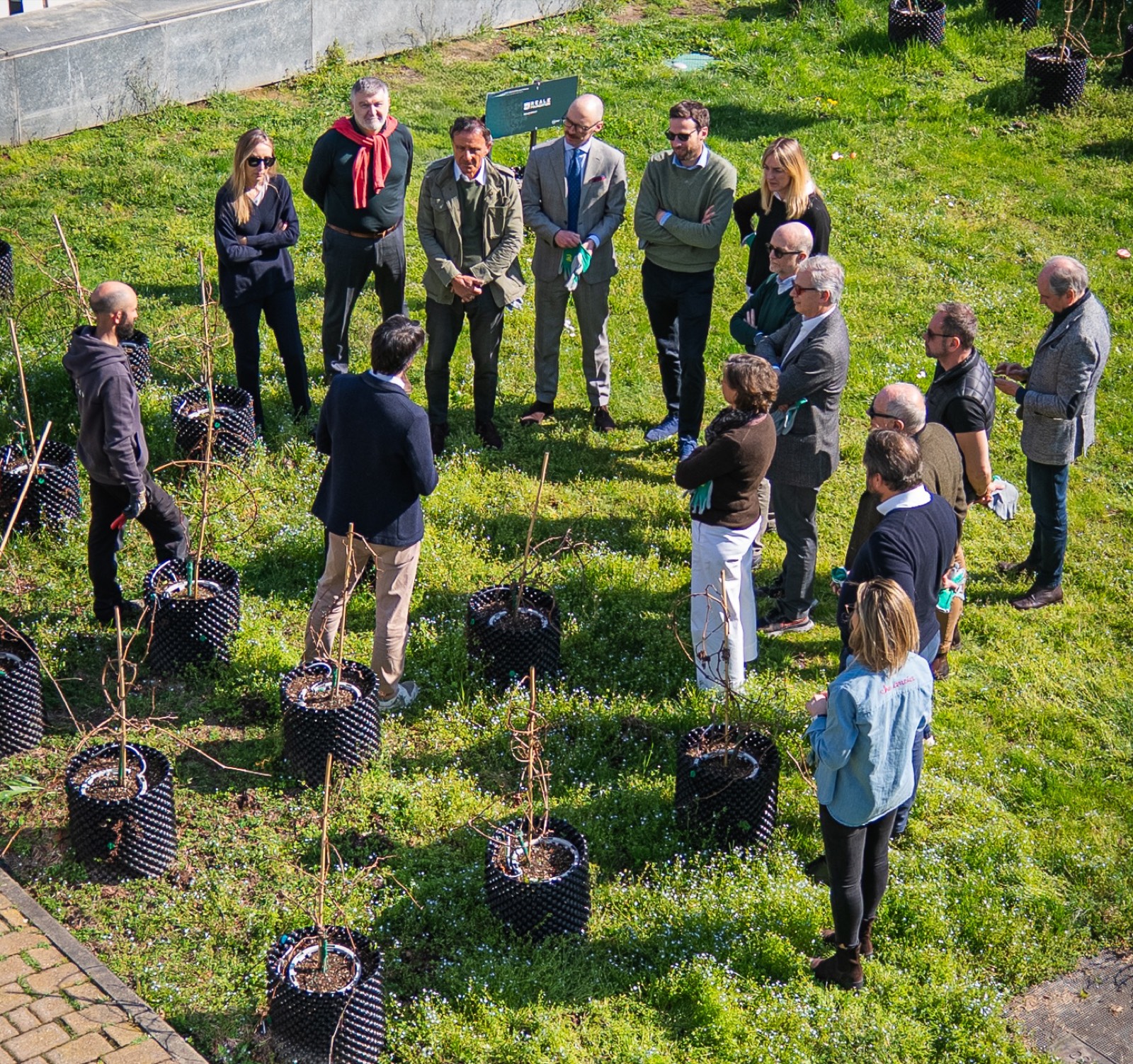 Team building in vigna