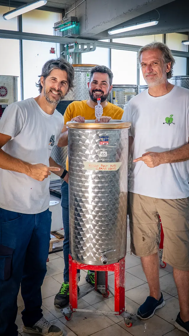 Tre persone in cantina accanto al tino di acciaio, durante la pigiatura