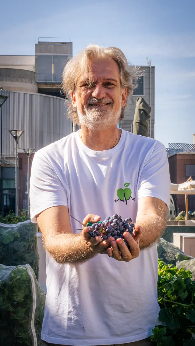 Ritratto di un uomo che regge un grappolo di uva nera con entrambe le mani