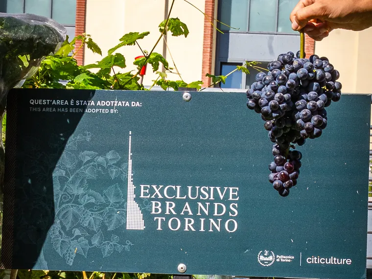 Il cartello «Quest'area è stata adottata da:» con il logo Exclusive Brands Torino fra i filari
