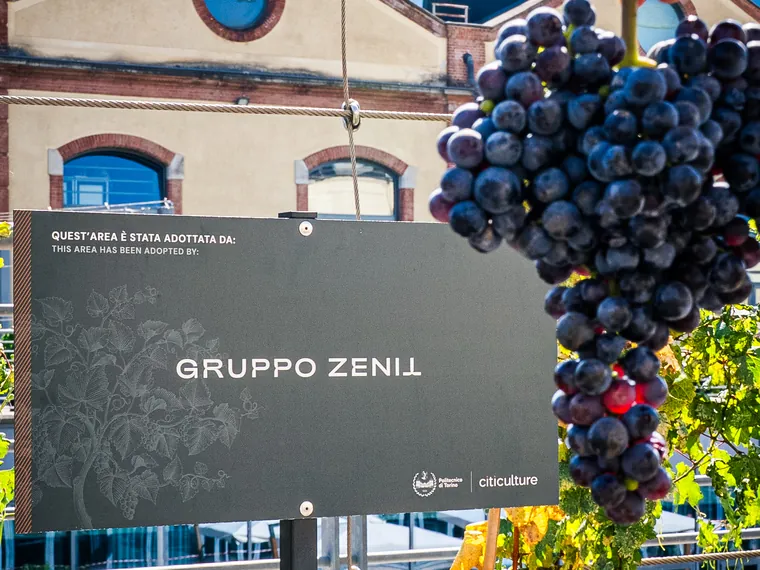 Il cartello «Quest'area è stata adottata da:» con il logo Gruppo Zenit fra i filari