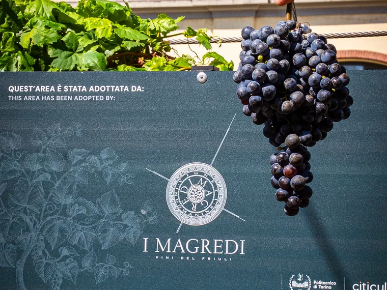 Il cartello «Quest'area è stata adottata da:» con il logo I Magredi fra i filari