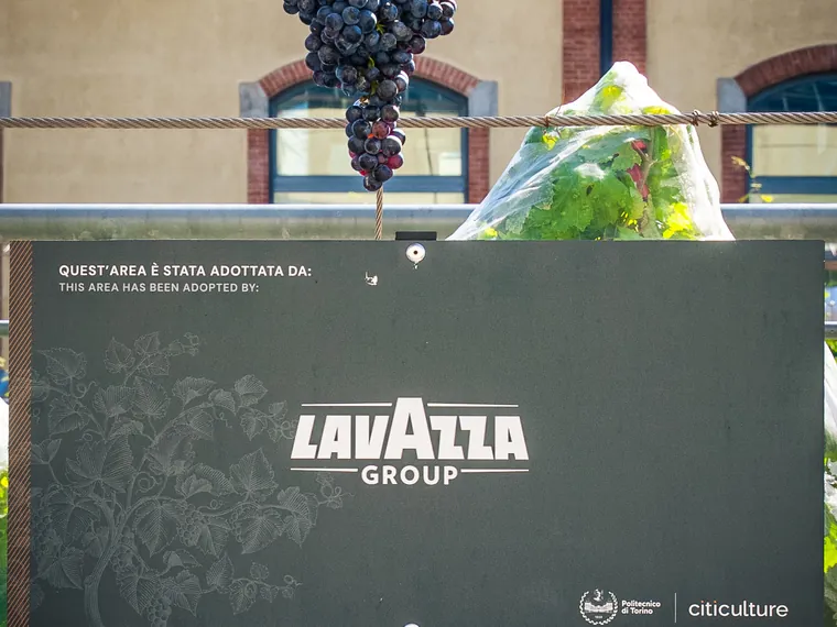 Il cartello «Quest'area è stata adottata da:» con il logo Lavazza Group fra i filari