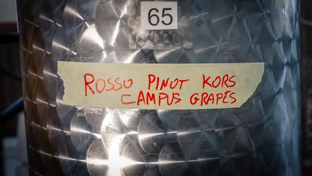 Contenitore di acciaio in cantina con la scritta a mano «Rosso Pinot Kors — Campus Grapes»
